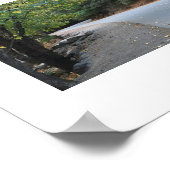 Herfstweg Yosemite kleurenfotografie Poster (Hoek)