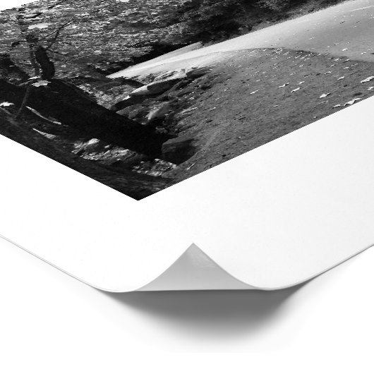 Herfstweg Yosemite zwart-wit fotografie Poster (Hoek)