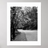 Herfstweg Yosemite zwart-wit fotografie Poster (Voorkant)