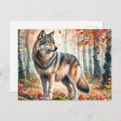 Herfstwolf met appels in Herfst Briefkaart (Voorkant / Achterkant)