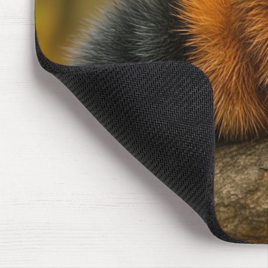 Herfstwollig Beer rups met een sjaal Muismat (Hoek)