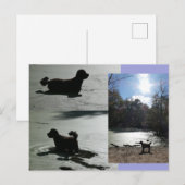Herfstzon met hond in water DIY Briefkaart (Voorkant / Achterkant)