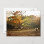 Herfstzonnestralen, Central Park, New York City Briefkaart (Voorkant / Achterkant)