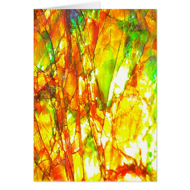 Herfstzonsondergang Ammoliet (Voorkant)