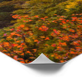 Herfstzonsondergang vanaf Beacon Heights Poster (Hoek)