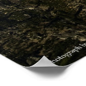 Hergeboorte afdrukken poster (Hoek)