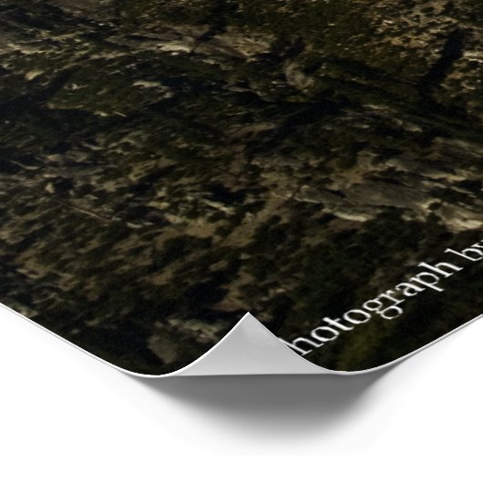 Hergeboorte afdrukken poster (Hoek)