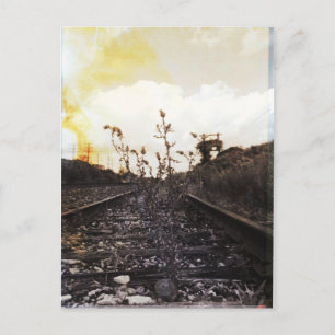 Hergeboorte tussen rails briefkaart