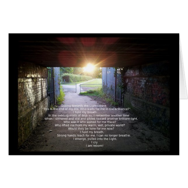 Hergeboren door Fredi Stewart (Voorkant Horizontaal)