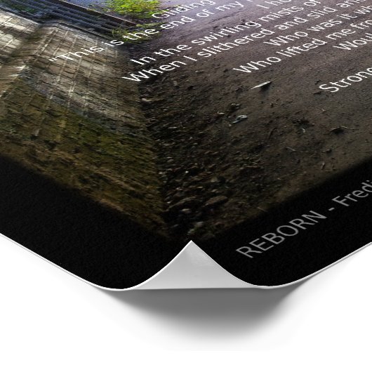 Hergeboren door Fredi Stewart Poster (Hoek)