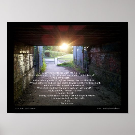 Hergeboren door Fredi Stewart Poster (Voorkant)