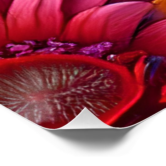 Herhalend patroon van 3d kleurrijke bloemen perfect poster (Hoek)