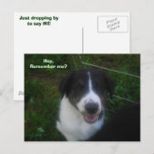 Herinner je me nog? briefkaart (Voorkant / Achterkant)