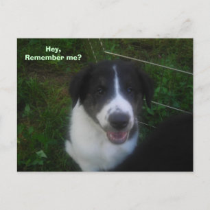 Herinner je me nog? briefkaart