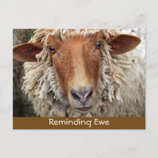 Herinnerend ooi: Herinneringskaarten Aankondigingskaart (Voorkant)