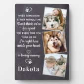 Herinnering 3 Foto Huisdier Verlies Cadeau Hond He Fotoplaat (voorkant)