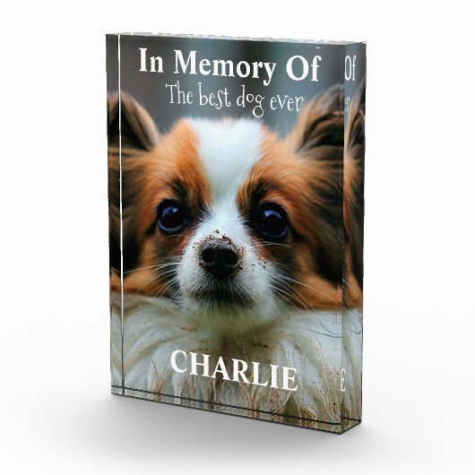 Herinnering aan de beste hond ooit fotoblokken (Rechts)