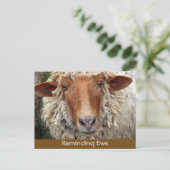 Herinnering aan EWE: Kaarten Herinnering (Staand voorkant)