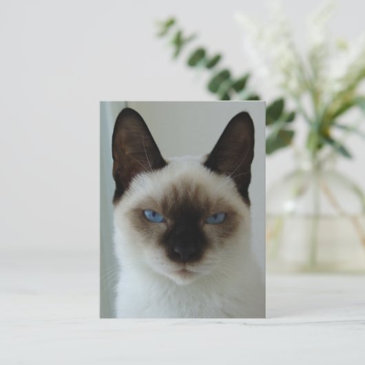 Herinnering aan het Mushu Briefkaart (Staand voorkant)