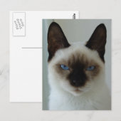 Herinnering aan het Mushu Briefkaart (Voorkant / Achterkant)