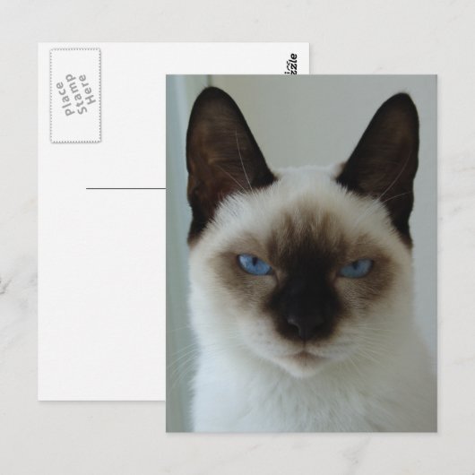 Herinnering aan het Mushu Briefkaart (Voorkant / Achterkant)