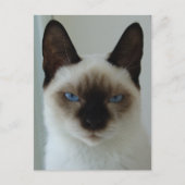 Herinnering aan het Mushu Briefkaart (Voorkant)