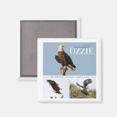 Herinnering aan Ozzie Magnet (Voorkant / Achterkant)