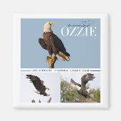 Herinnering aan Ozzie Magnet (Voorkant)