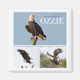 Herinnering aan Ozzie Magnet