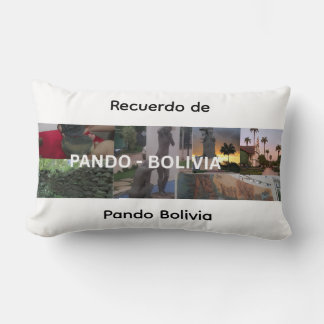 Herinnering aan Pando Bolivia Kussen