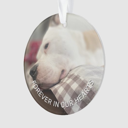 Herinnering Bewaar paw prints in je hart Ornament (voorkant)