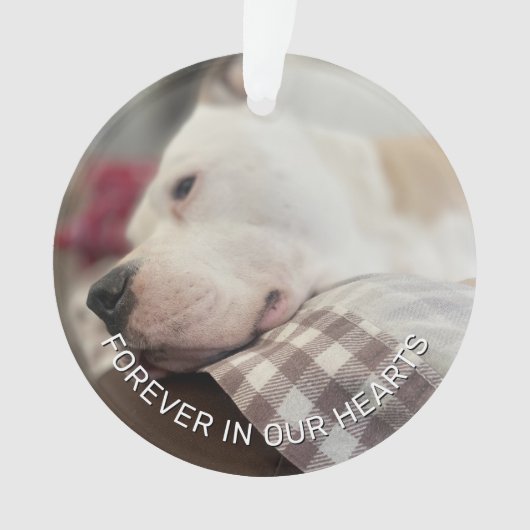 Herinnering Bewaar paw prints in je hart Ornament (voorkant)