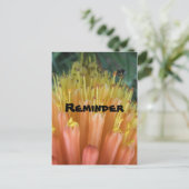 Herinnering Briefkaart (Staand voorkant)