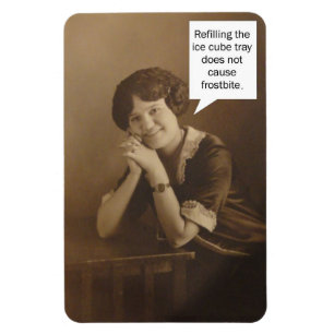 Herinnering ijsblokjeslade magneet