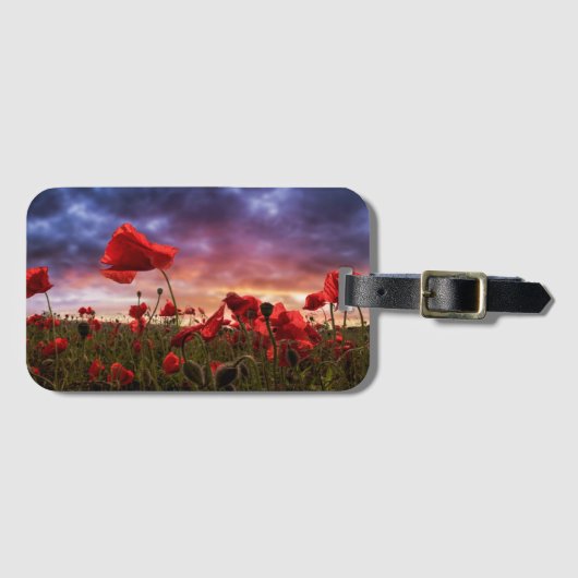 Herinnering | Papavers Bagagelabel (Voorkant (horizontaal))