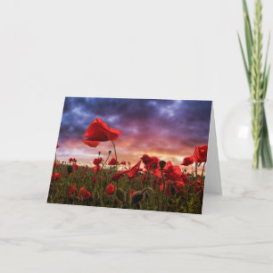 Herinnering Papavers Kaart