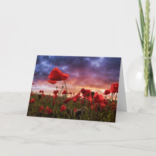 Herinnering | Papavers Kaart (Voorkant)