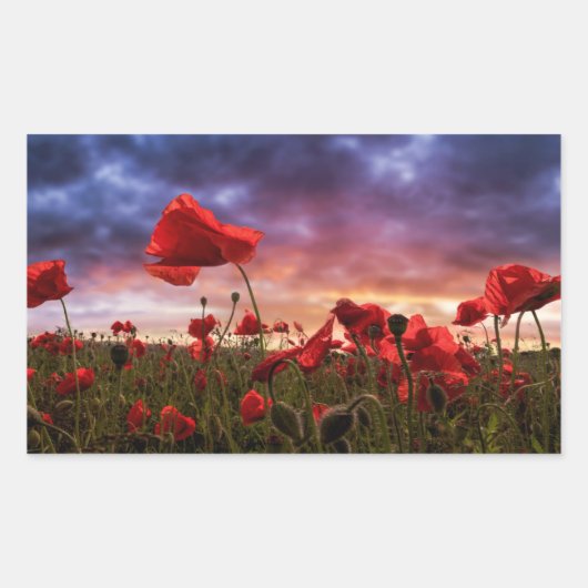 Herinnering | Poppies-veld Rechthoekige Sticker (Voorkant)