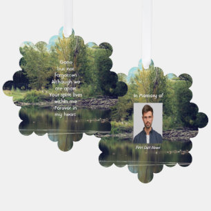 Herinnering Souvenir Meer Vijver Park Eenden Ornament Kaart