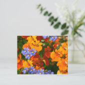 Herinnering van de lente briefkaart (Staand voorkant)