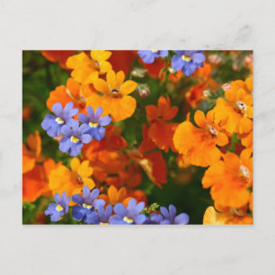 Herinnering van de lente briefkaart