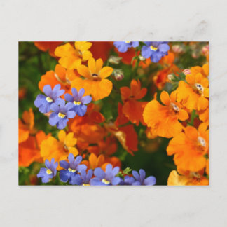 Herinnering van de lente briefkaart