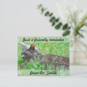 Herinnering  veterinaire controle briefkaart (Staand voorkant)