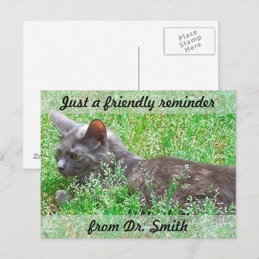 Herinnering  veterinaire controle briefkaart (Voorkant / Achterkant)