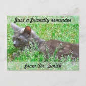 Herinnering  veterinaire controle briefkaart (Voorkant)