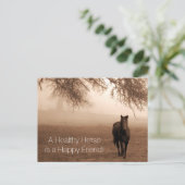 Herinnering voor aanwijzing diergeneesmiddelen voo briefkaart (Staand voorkant)