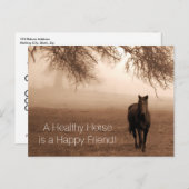 Herinnering voor aanwijzing diergeneesmiddelen voo briefkaart (Voorkant / Achterkant)