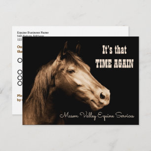 Herinnering voor afspraak met Sepia Toned Horse Briefkaart
