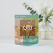 Herinnering voor de aanwijzing van Cute Optometry  Briefkaart (Staand voorkant)