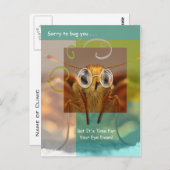 Herinnering voor de aanwijzing van Cute Optometry  Briefkaart (Voorkant / Achterkant)